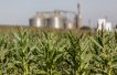 Poland: TotalEnergies sells 50% in biogas player PGB to HitecVision