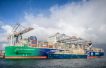 TotalEnergies, CMA CGM to launch LNG bunkering JV in Rotterdam