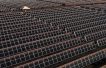 Petrobras and BP partner up for renewables in Brazil