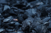 Varaha raises $20 million to scale carbon removal projects in India