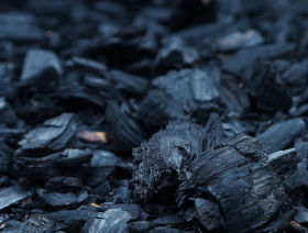 Varaha raises $20 million to scale carbon removal projects in India