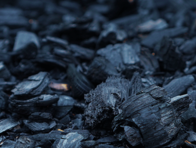 Varaha raises $20 million to scale carbon removal projects in India