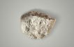 Mangrove Lithium launches pioneering refinery in Canada